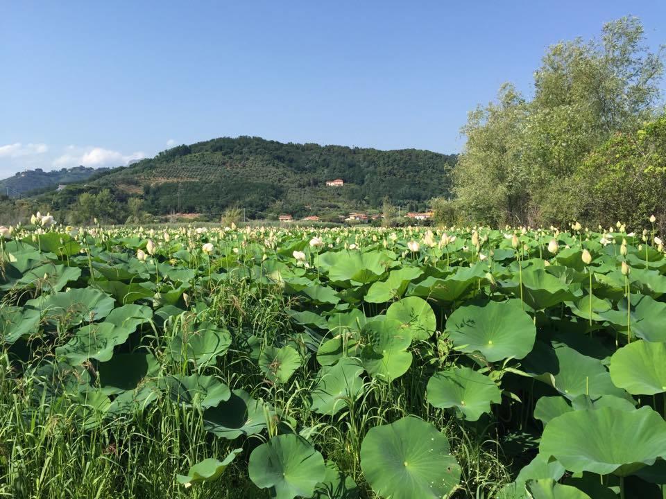 Cecco Di Nara Hotel มาสซาโรซา ภายนอก รูปภาพ